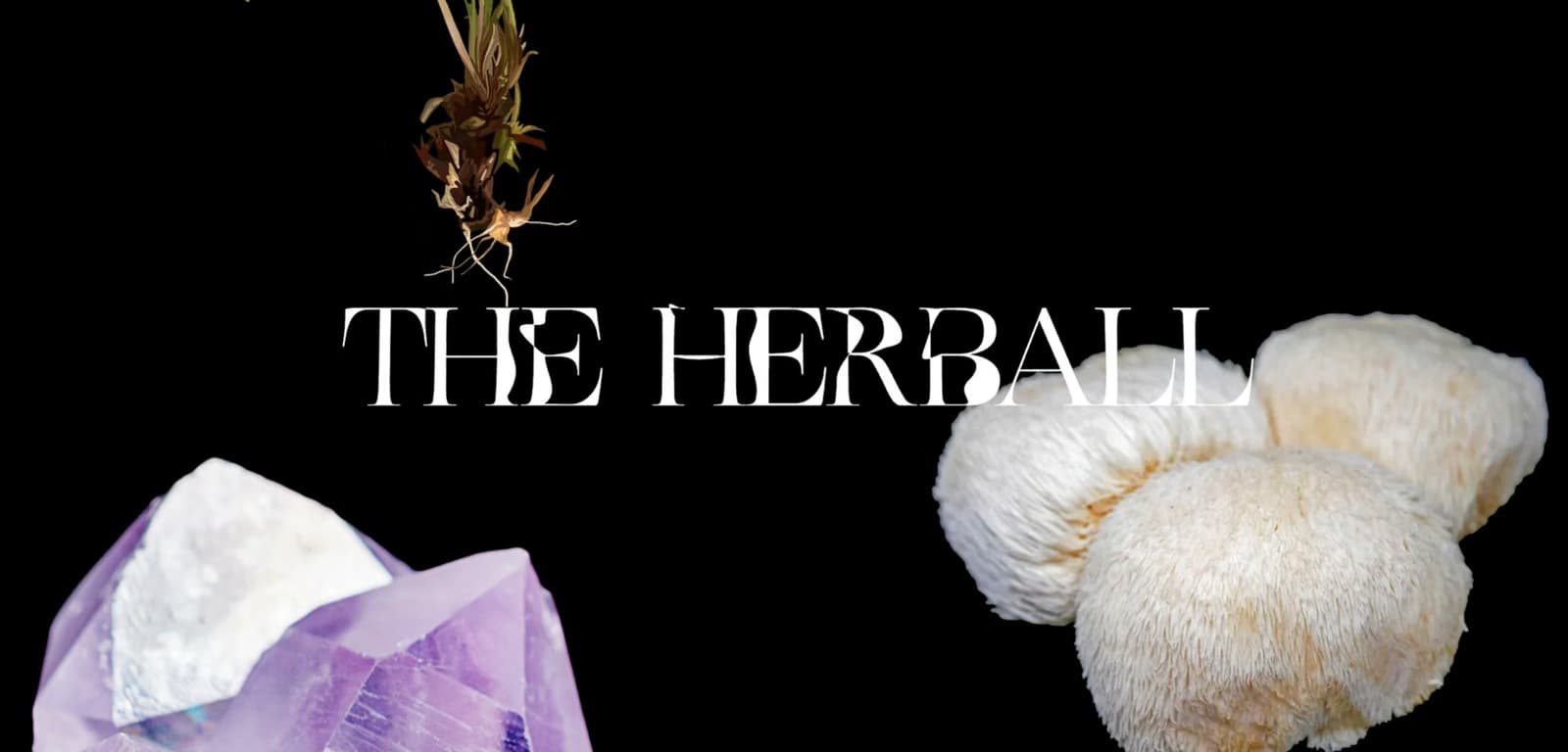 The Herball - Reels